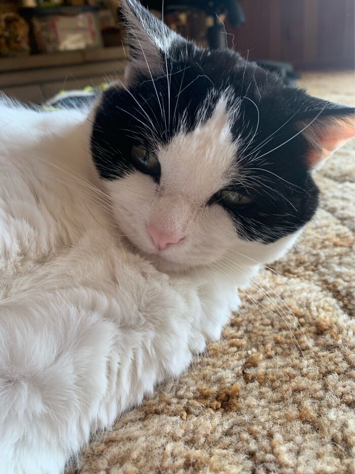 This Is 1 Of 3 Of Mine