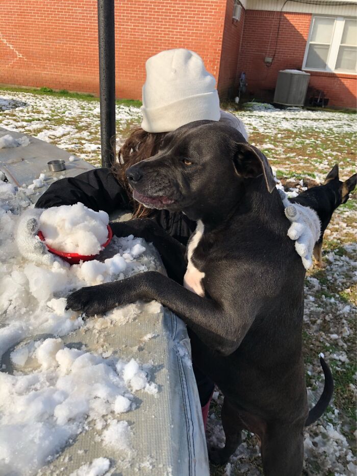Rarely Do We Get Snow Is Louisiana, But The Kid Seemed To Like Eating It, So . . .