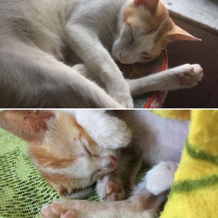 Old Habits Never Die