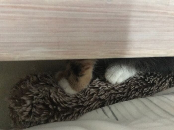 Lost The Little Weirdo...