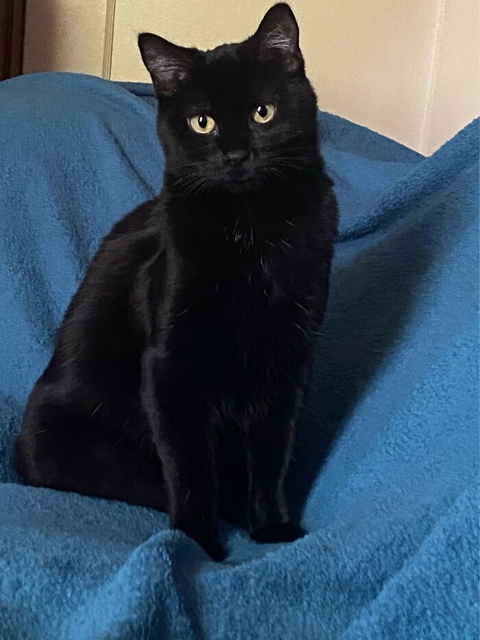 About To Be One Year Old! Dorothy Gail Is Gorgeous