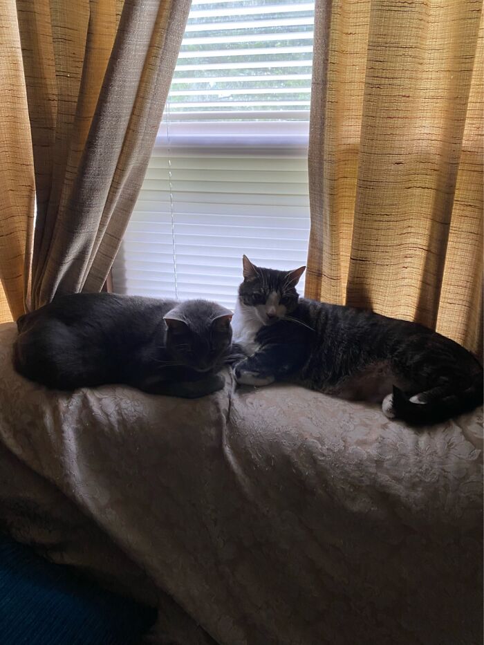 Thor And Ringo Starr