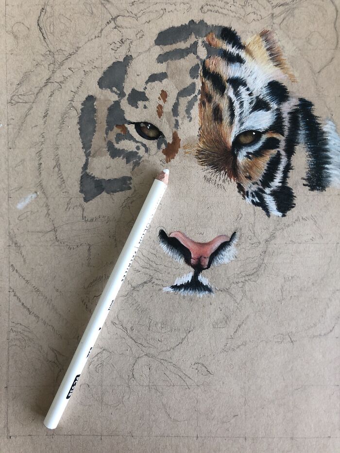 I Draw Realistic Animals With Colored Pencils :))