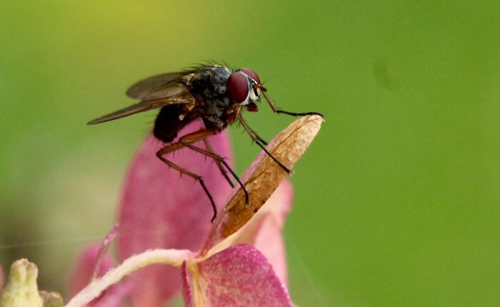 For All Our Ingenuity, We Still Cannot Duplicate This Miracle Of Engineering