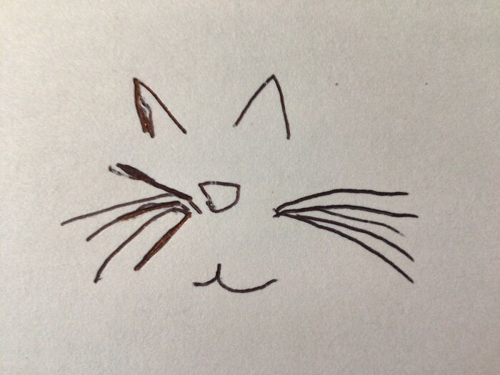 Abstract Cat Idk Why