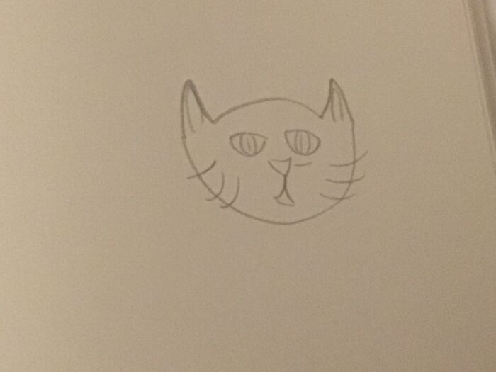 Super Fast Cat Drawing!