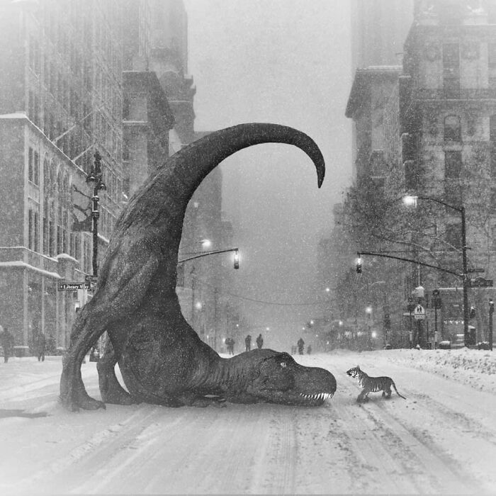 I Have No Idea Even Where I Got This But It Is A Story In Itself.