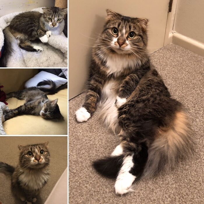 At 15 Months X 2 & At Two Years X 2