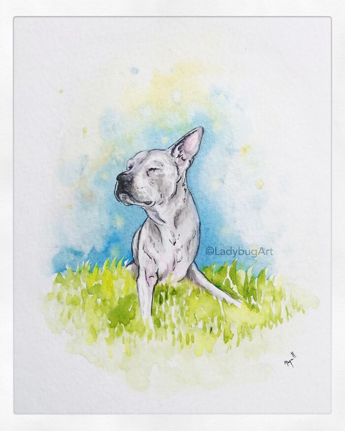 I Have An Emotional Job Of Creating Custom Art Of Pets After They’ve Passed Away (19 Pics)