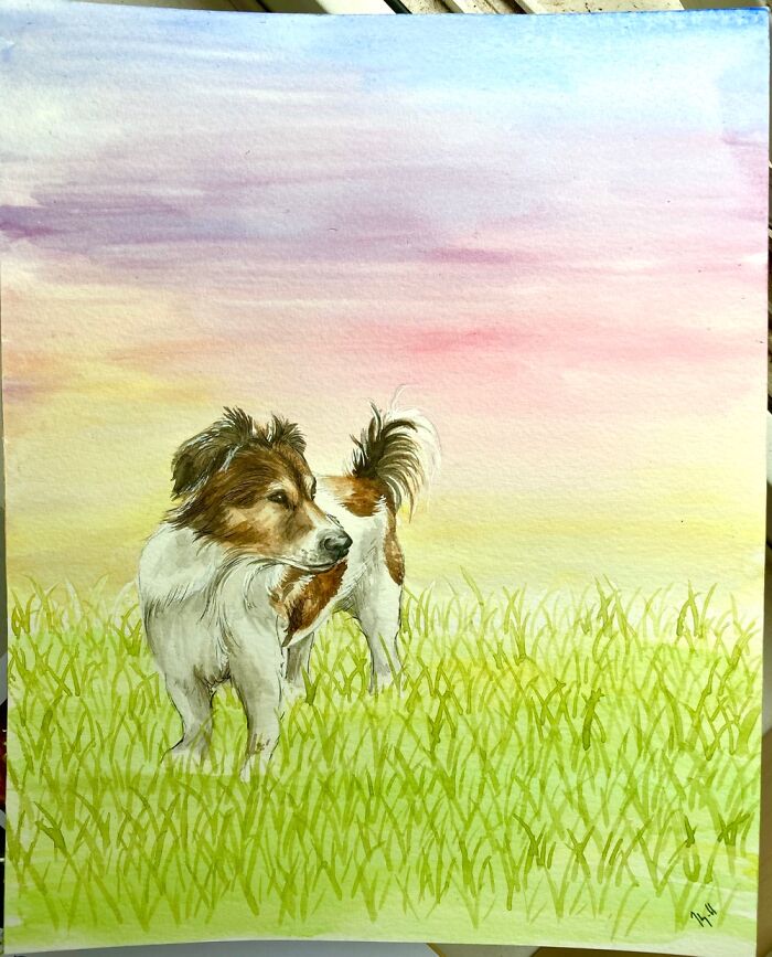 I Have An Emotional Job Of Creating Custom Art Of Pets After They’ve Passed Away (19 Pics)