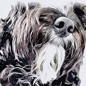 dorotaolszewska avatar