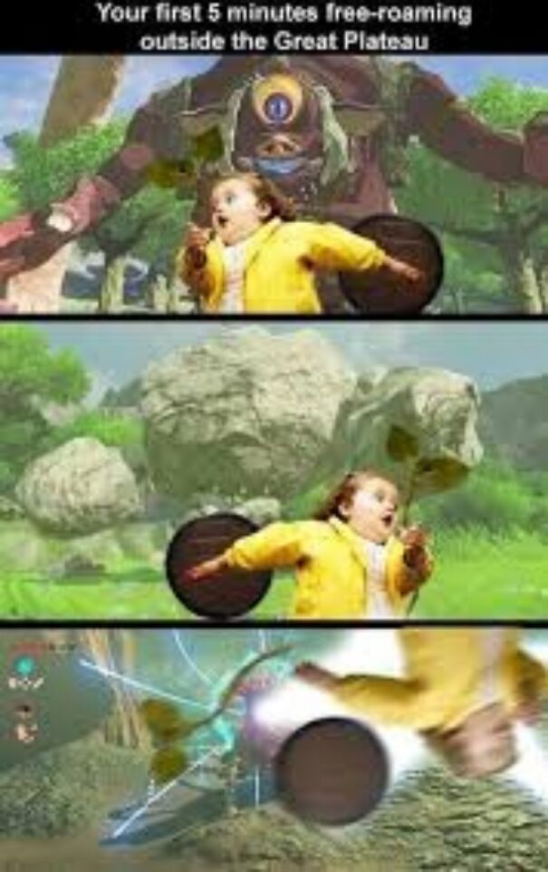 10 Botw Memes I Can Relate To (+ 2 Made By Me)