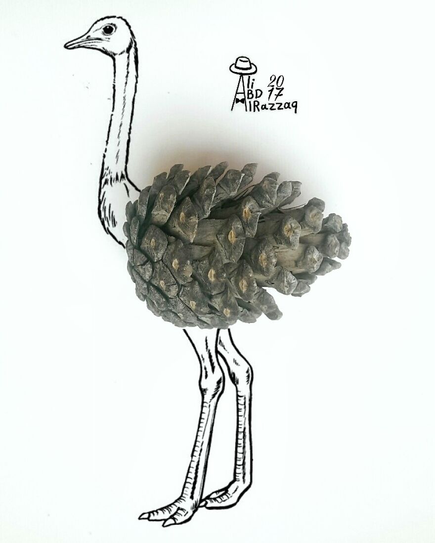 I Draw Interactive Illustrations Using Everyday Objects