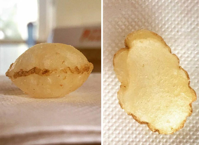 A Nearly Perfect Specimen For The Blistered Potato Chip Fans Out There