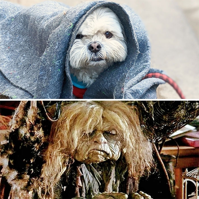 Jareth's Junk Lady Wants You To Forget All About Toby, But Don't You Do It