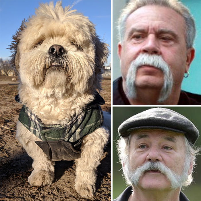 Who You Gonna Call?!