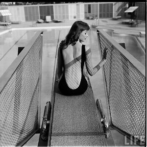 z-houseprojects avatar