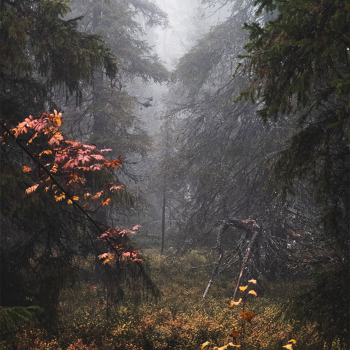 Here Are 34 Eerily Beautiful Liminal Spaces I Captured (34 Pics)