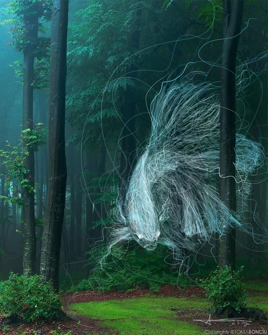 My Illustrations Of Animals And Cute Things In The Forest