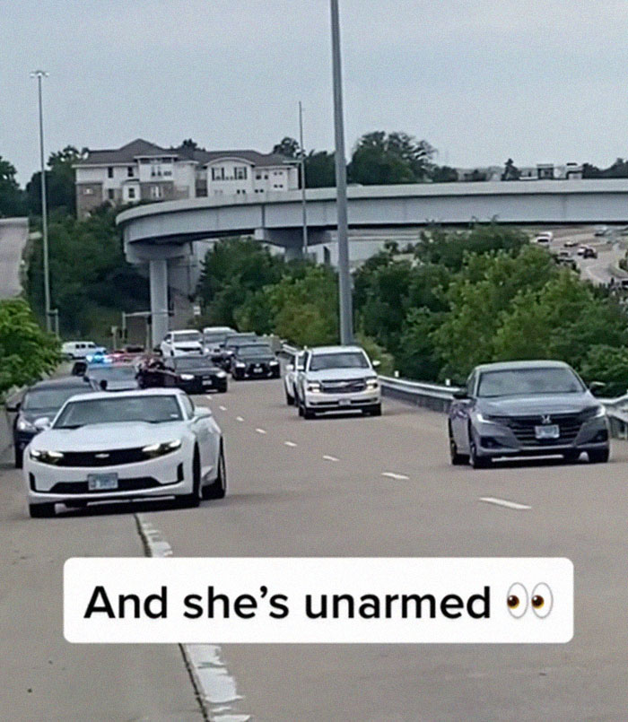 Numerous Drivers Pull Over To Check On A Black Woman Who Was Stopped By Cops And Was Screaming For Help