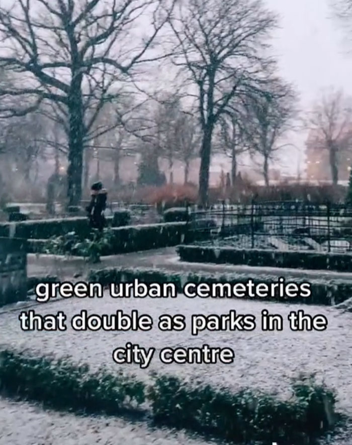 Moving-To-Sweden-Cultural-Shocks