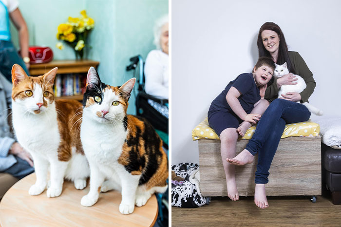 Here Are The Stories Of 12 Heroic Cats That Won The ‘National Cat Awards’