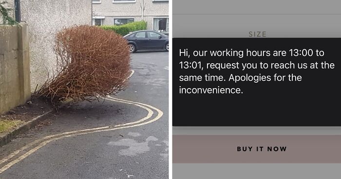 People Are Sharing Priceless “Not My Job” Moments Caught In Pictures And Here Are 45 Of The Laziest Ones (New Pics)