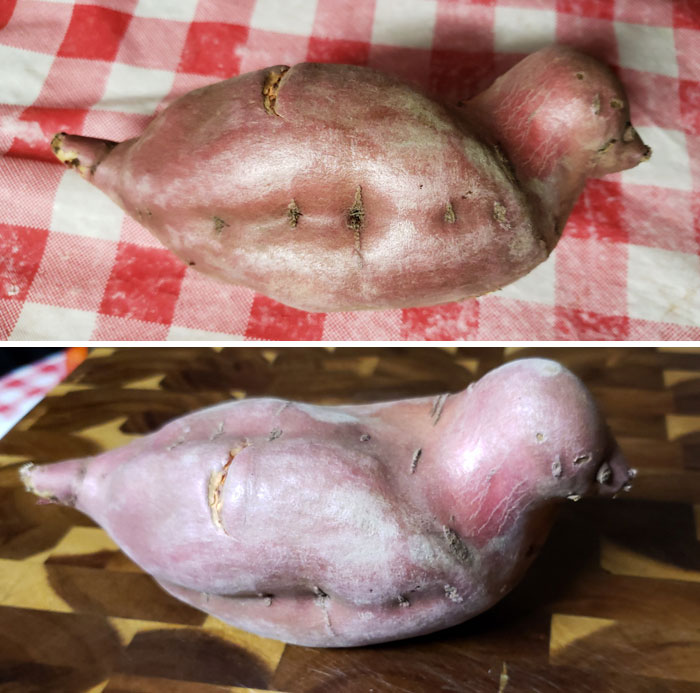 This Sweet Potato We Got That Looks Like A Bird