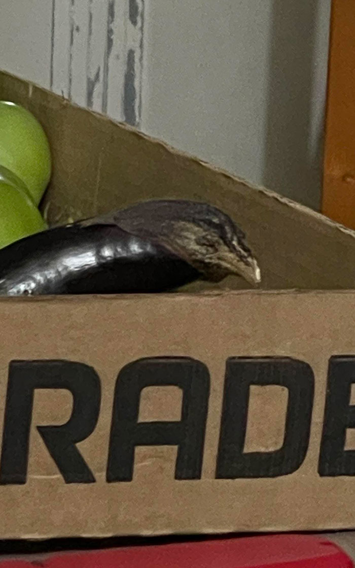 This Japanese Eggplant Looks Like A Bird