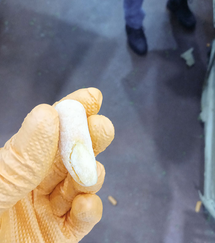 Work In Food Production, Found A Baby Carrot We All Thought Was A Human Finger At First