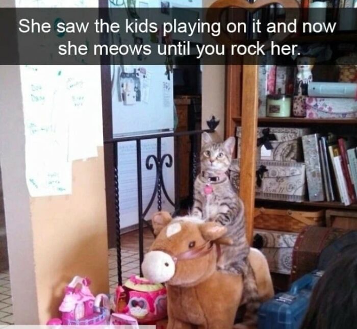 People-Share-Super-Wholesome-Pics