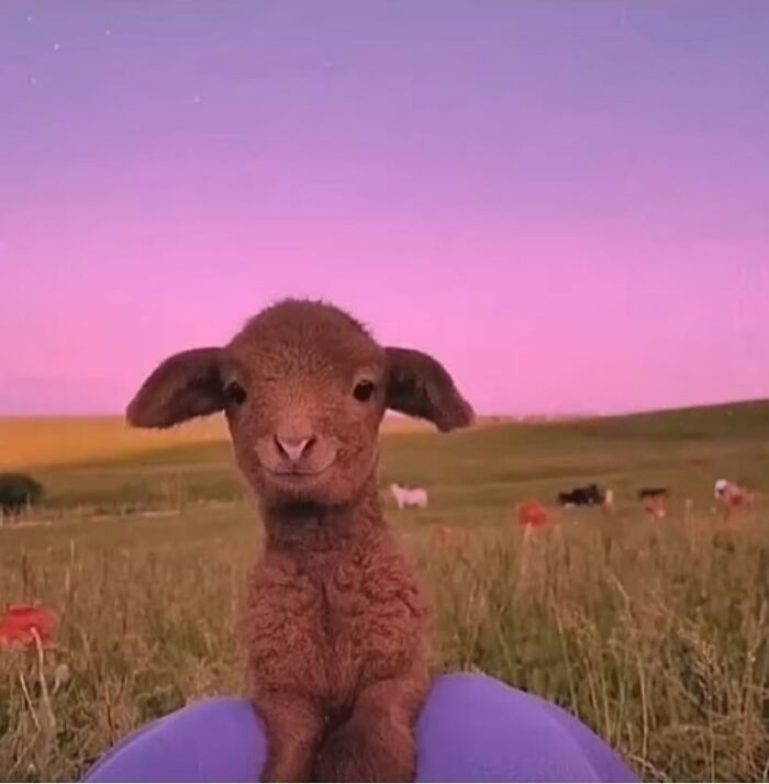 People-Share-Super-Wholesome-Pics