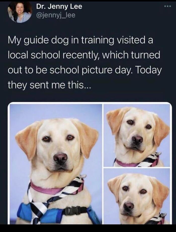 People-Share-Super-Wholesome-Pics