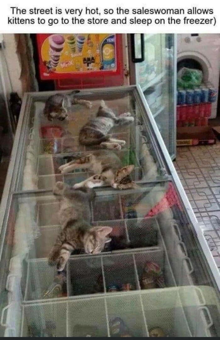 People-Share-Super-Wholesome-Pics