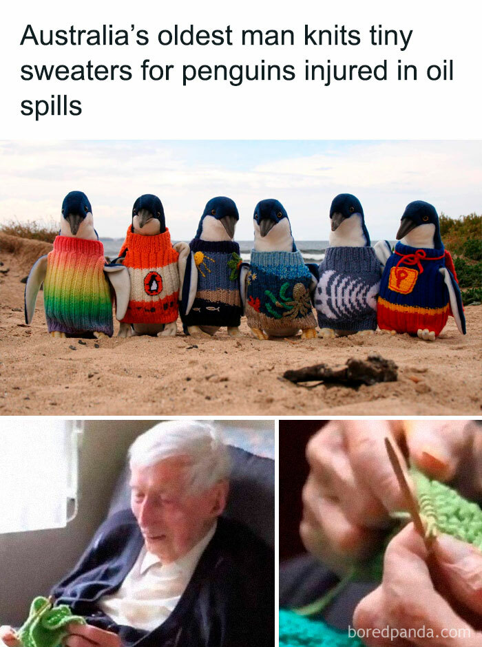 People-Share-Super-Wholesome-Pics