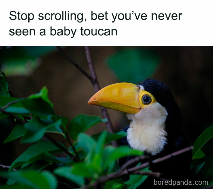 People-Share-Super-Wholesome-Pics