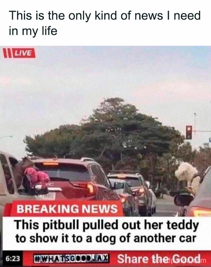 People-Share-Super-Wholesome-Pics