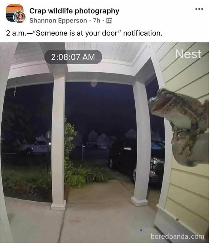 People-Share-Super-Wholesome-Pics