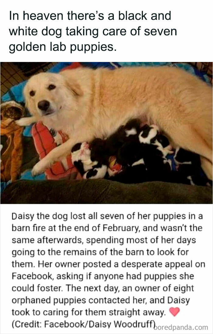 People-Share-Super-Wholesome-Pics