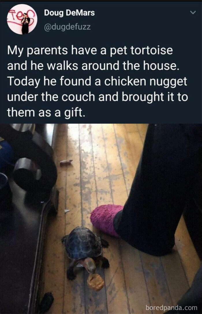 People-Share-Super-Wholesome-Pics