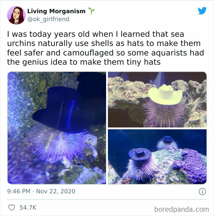 People-Share-Super-Wholesome-Pics