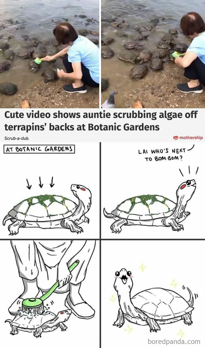 People-Share-Super-Wholesome-Pics