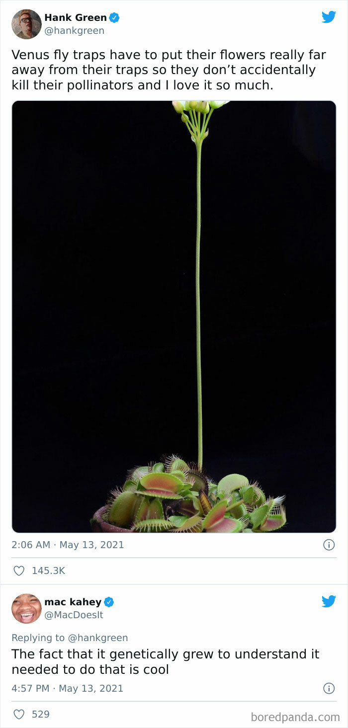 People-Share-Super-Wholesome-Pics