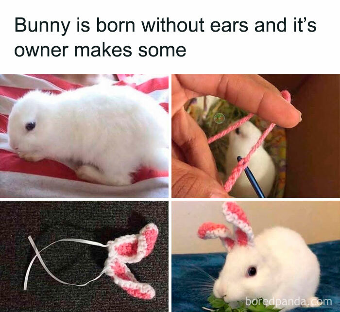 People-Share-Super-Wholesome-Pics