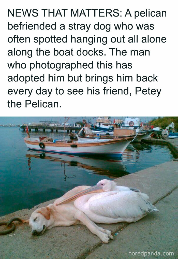 People-Share-Super-Wholesome-Pics