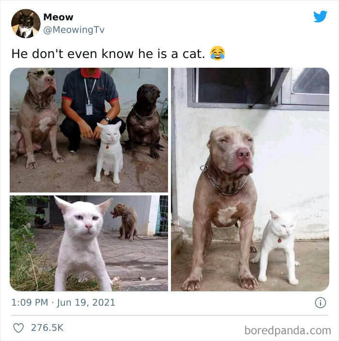 People-Share-Super-Wholesome-Pics