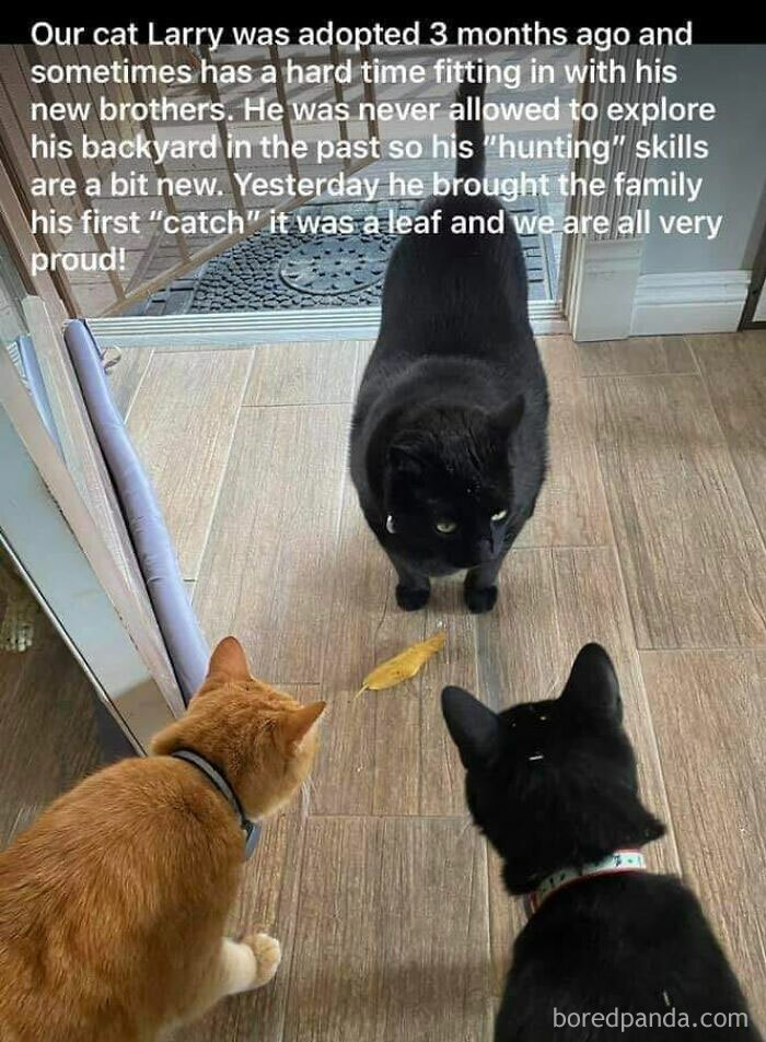 People-Share-Super-Wholesome-Pics