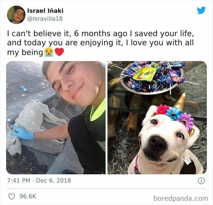 People-Share-Super-Wholesome-Pics