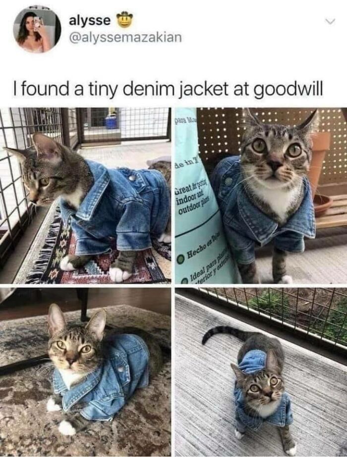 People-Share-Super-Wholesome-Pics