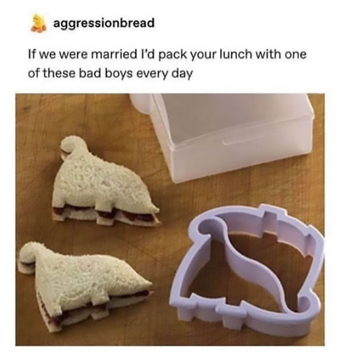 People-Share-Super-Wholesome-Pics